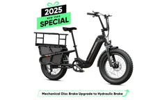 TST® Carrier 20'' Cargo Electric Bike