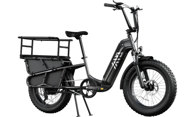 TST® Carrier 20'' Cargo Electric Bike
