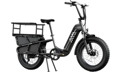 TST® Carrier 20'' Cargo Electric Bike