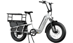 TST® Carrier 20'' Cargo Electric Bike