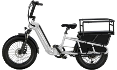 TST® Carrier 20'' Cargo Electric Bike