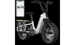 TST® Carrier 20'' Cargo Electric Bike