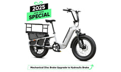 TST® Carrier 20'' Cargo Electric Bike