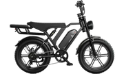 TST® R002 20'' 1500W Full Suspension Moped-style Electric Bike
