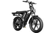 TST® R002 20'' 1500W Full Suspension Moped-style Electric Bike