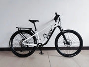 Touring e-Bike