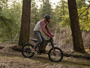 Freego X2 Pro All-Terrain Dirt E-Bike
