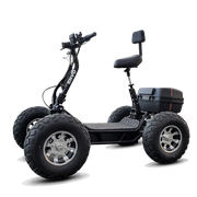 Electric All Terrain Vehicle (e-ATV)