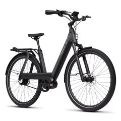 TENWAYS AGO T Electric Bike - Reach Speeds of Up to 20mph!