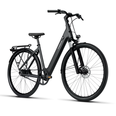 TENWAYS CGO800S Electric Bike - Experience Thrilling Speeds Up to 20mph!