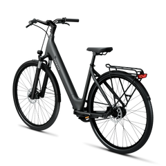 TENWAYS CGO800S Electric Bike - Experience Thrilling Speeds Up to 20mph!