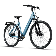 TENWAYS CGO800S Electric Bike - Experience Thrilling Speeds Up to 20mph!