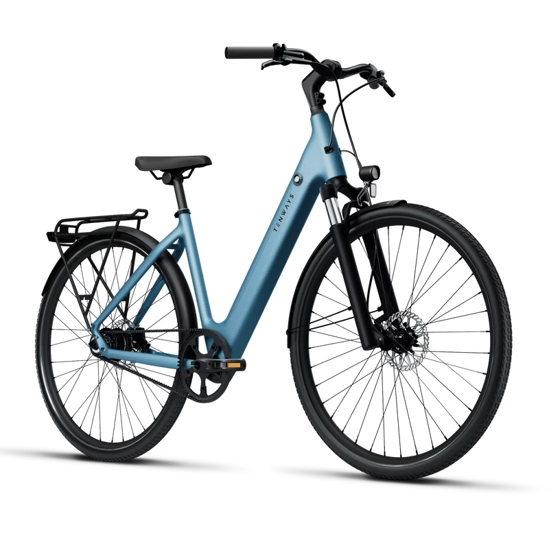 TENWAYS CGO800S Electric Bike - Experience Thrilling Speeds Up to 20mph!