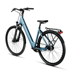 TENWAYS CGO800S Electric Bike - Experience Thrilling Speeds Up to 20mph!