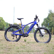 HT1000