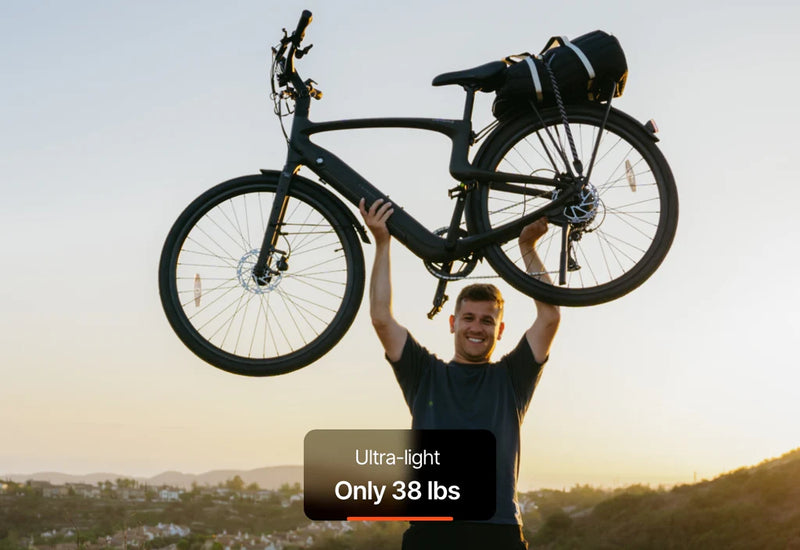 Carbon Classic E-Bike