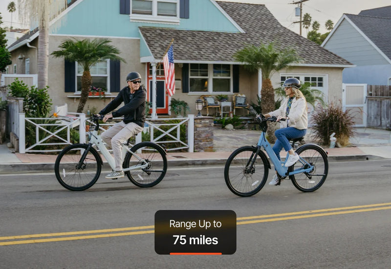 Carbon Classic Step-Thru E-Bike