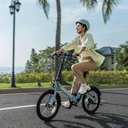 Carbon Fold Step-Thru E-Bike