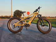 Brawny XM MTB Electric Mountain Bike for Extreme Adventures