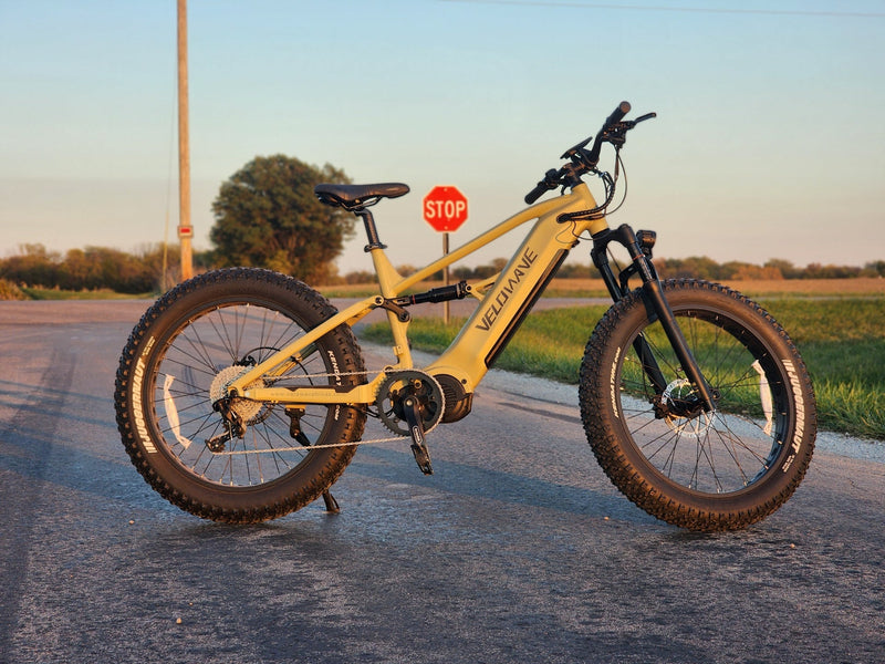 Brawny XM MTB Electric Mountain Bike for Extreme Adventures