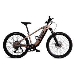 Touring e-Bike