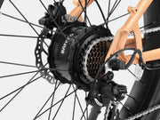 Rover Step-Thru Electric Bicycle for Unmatched Comfort and Easy Access