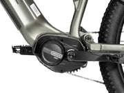 Foresta SM MTB