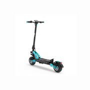 Freego C10 Landrider Multi-foldable Electric Scooter