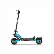 Freego C10 Landrider Multi-foldable Electric Scooter