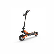 Freego C10 Pro Landtiger Double system Folding Electric Scooter