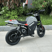 Freego K1 Kids' Electric Bike