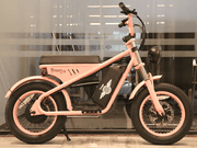 Freego Mini M1 Children's Electric Bike
