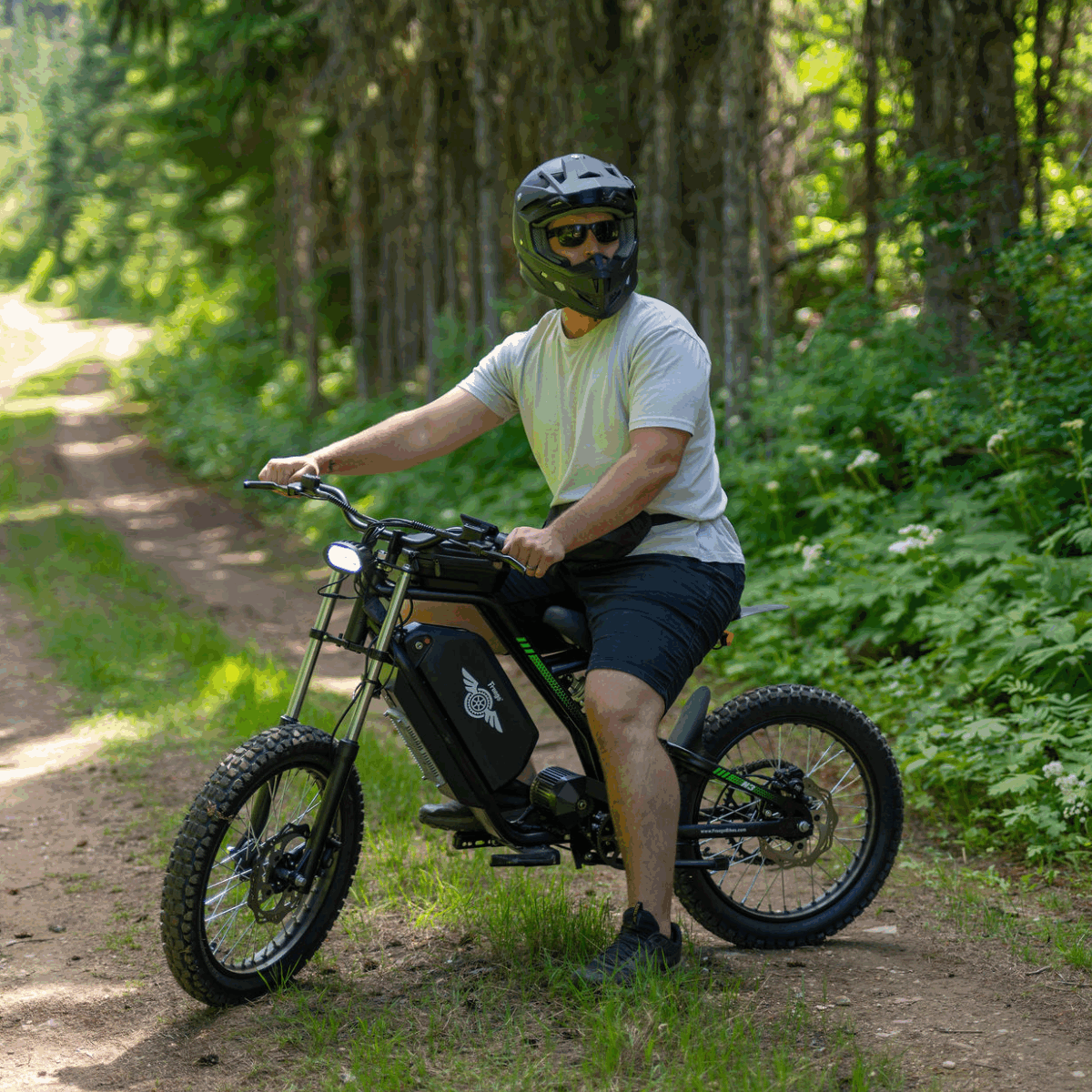 Freego Nova 3 Mid-Drive All-Terrain Dirt eBike - Your Ultimate Off-Road Adventure Companion