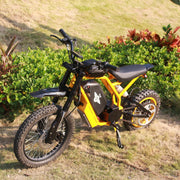 Freego Nova 2 Youth Electric Dirt Bike