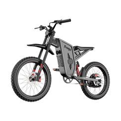 Freego X2 Pro All-Terrain Off-Road Electric Mountain Bike