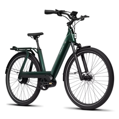 TENWAYS AGO T Electric Bike - Reach Speeds of Up to 20mph!