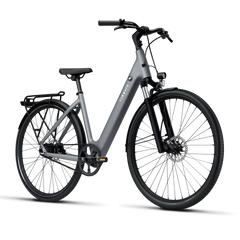 TENWAYS CGO800S Electric Bike - Experience Thrilling Speeds Up to 20mph!