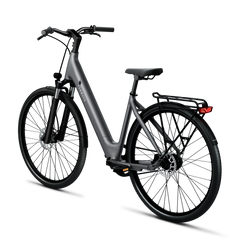 TENWAYS CGO800S Electric Bike - Experience Thrilling Speeds Up to 20mph!