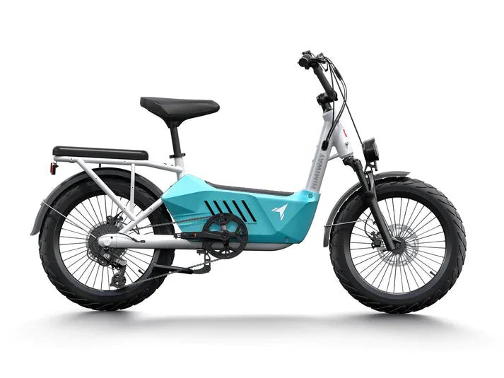 Himiway C3 Versatile Cargo E-Bike