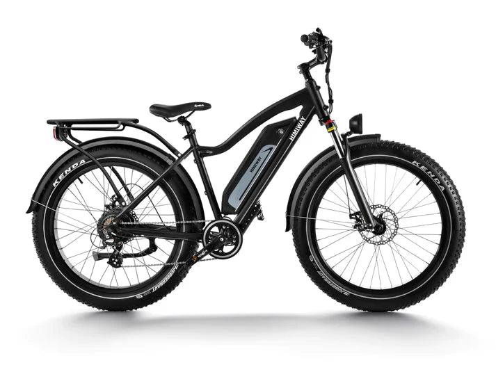 Himiway D3 Adventure Cruiser Bike