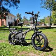 Rattan LM Ultra