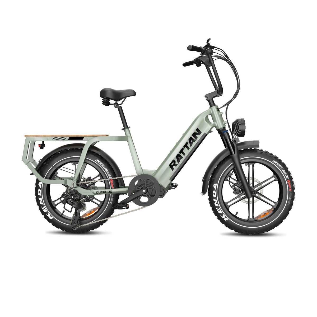 Rattan Quercus utility fat tire electric bike