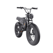Freego S1 Café Racer eBike