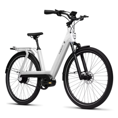 TENWAYS AGO T Electric Bike - Reach Speeds of Up to 20mph!