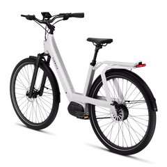 TENWAYS AGO T Electric Bike - Reach Speeds of Up to 20mph!