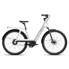 TENWAYS AGO T Electric Bike - Reach Speeds of Up to 20mph!