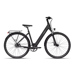 TENWAYS CGO800S Electric Bike - Experience Thrilling Speeds Up to 20mph!