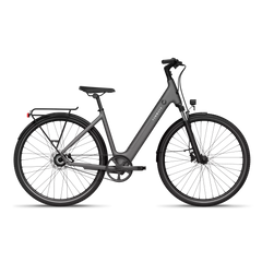 TENWAYS CGO800S Electric Bike - Experience Thrilling Speeds Up to 20mph!