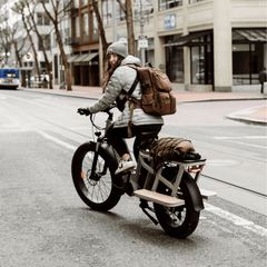 Yoto Lion Max Family Cargo